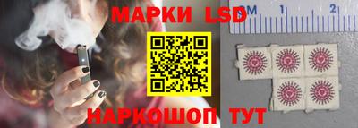 стаф Тара
