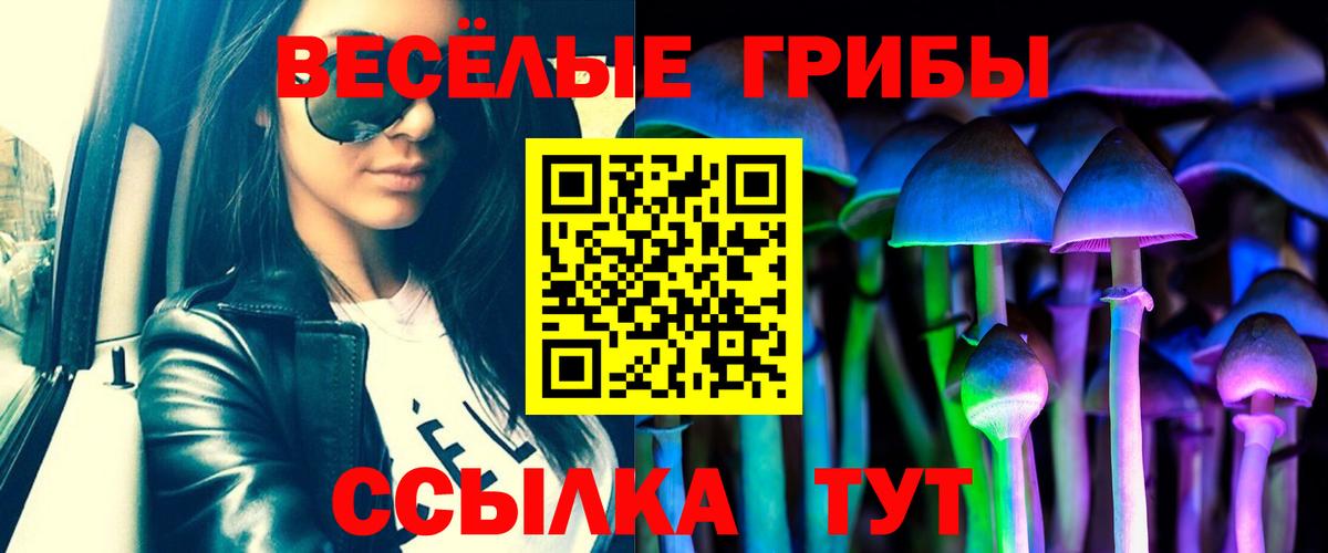 Псилоцибиновые грибы мицелий  Вход с VPN  Новокубанск  Галлюциногенные грибы Psilocybe 